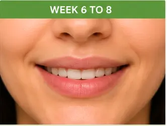 Week 6 to 8